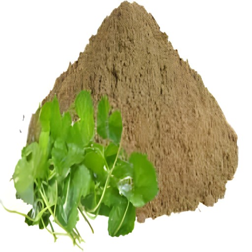 Vedic Brahmi Powder 200 GM