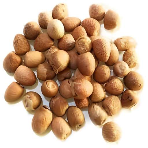 HOQUE THIN POOJA NUTS 3.5 OZ
