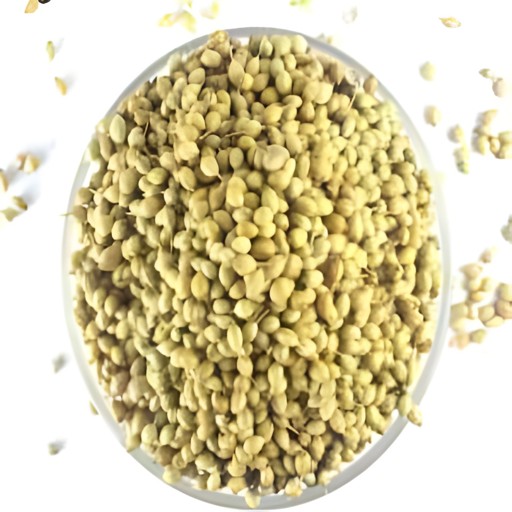 Tuba Coriander Seeds 14 OZ