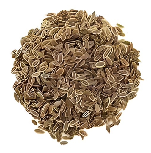 Raghav Dill Seeds 200 GM