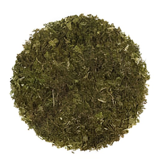 Krish Dry Mint 100 GM