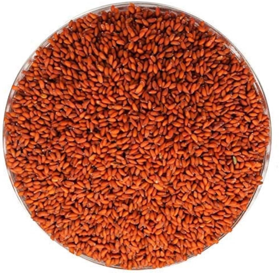 Krish Asario Seeds 100 GM