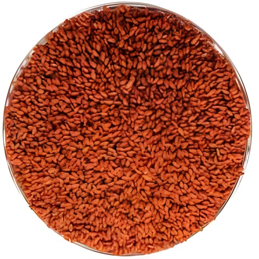 Tuba Asario Seeds 14 OZ