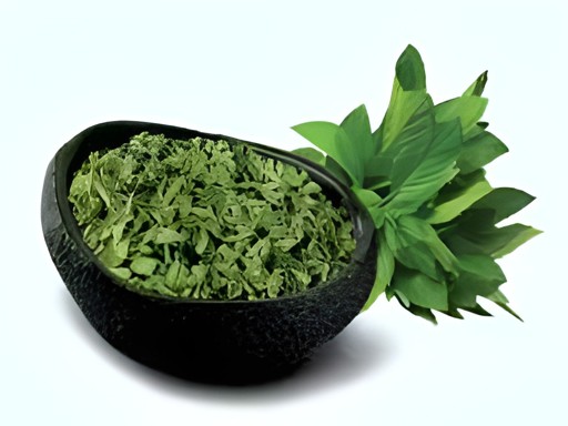 Raghav Dry Mint Leaves 100 GM