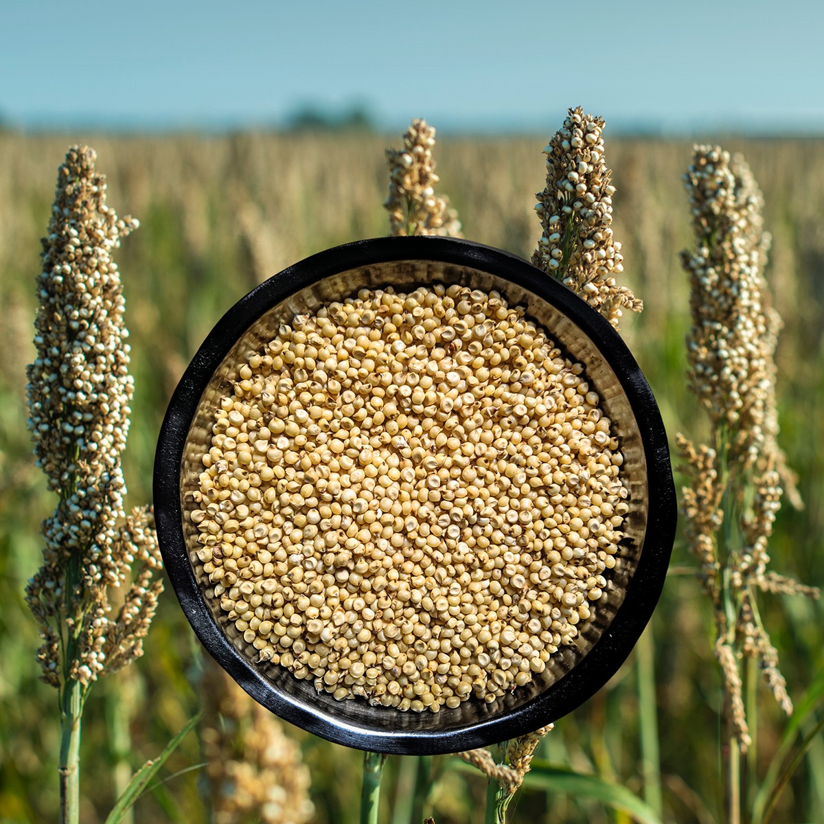 Krish Jowar Millet 2 LBS