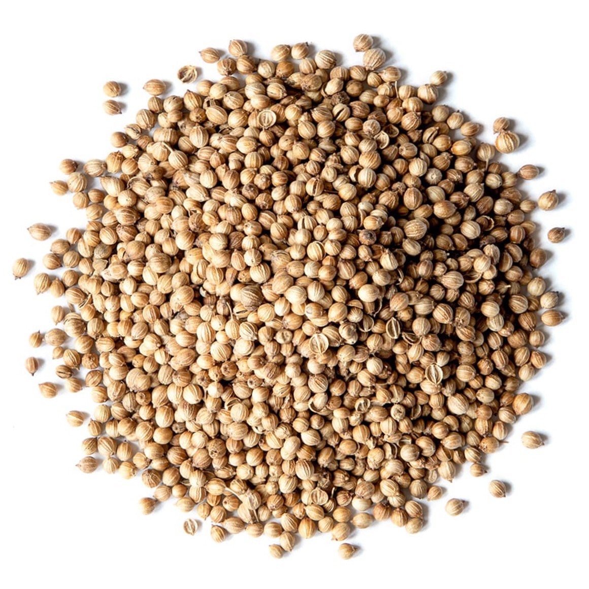 Super Coriander Seeds 3.5 LBS