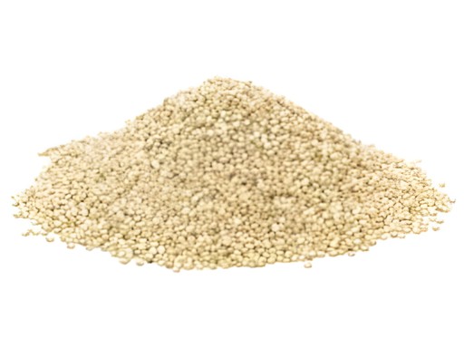 White Quinoa  10 LBS