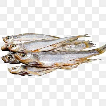 SD White Fish 2 LBS