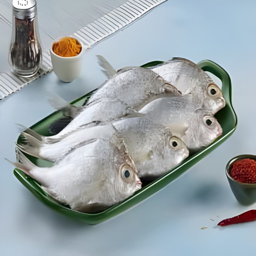 SILVER BIDDY FISH 2 LBS