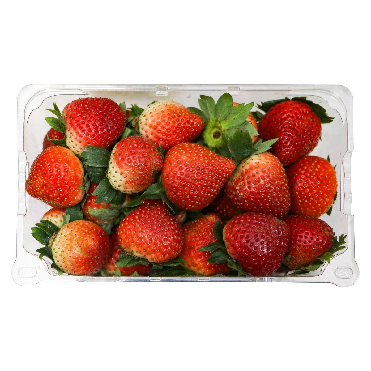 Giant Berry Farms Strawberries 16oz