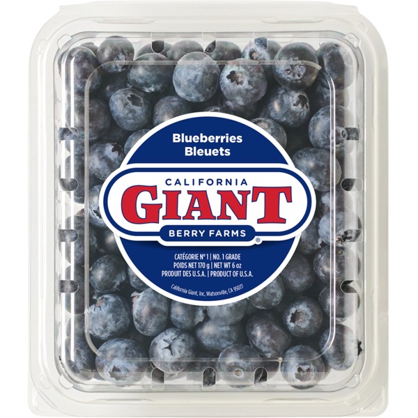 BLUEBERRIES BOX 1 PACK