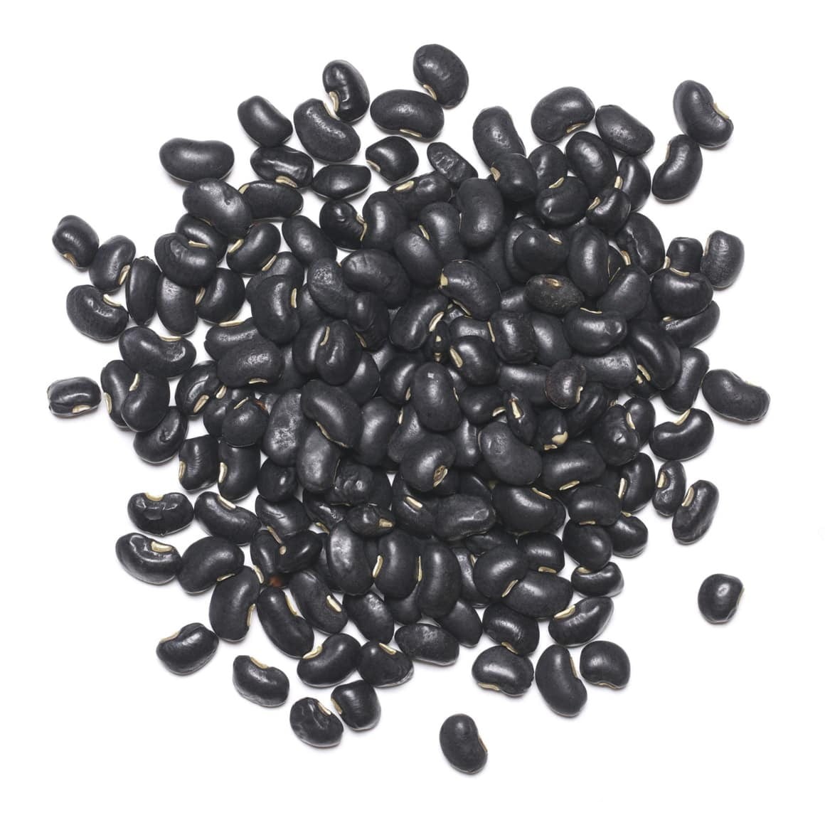 NUPAK BLACK TURTLE BEANS 1 LBS