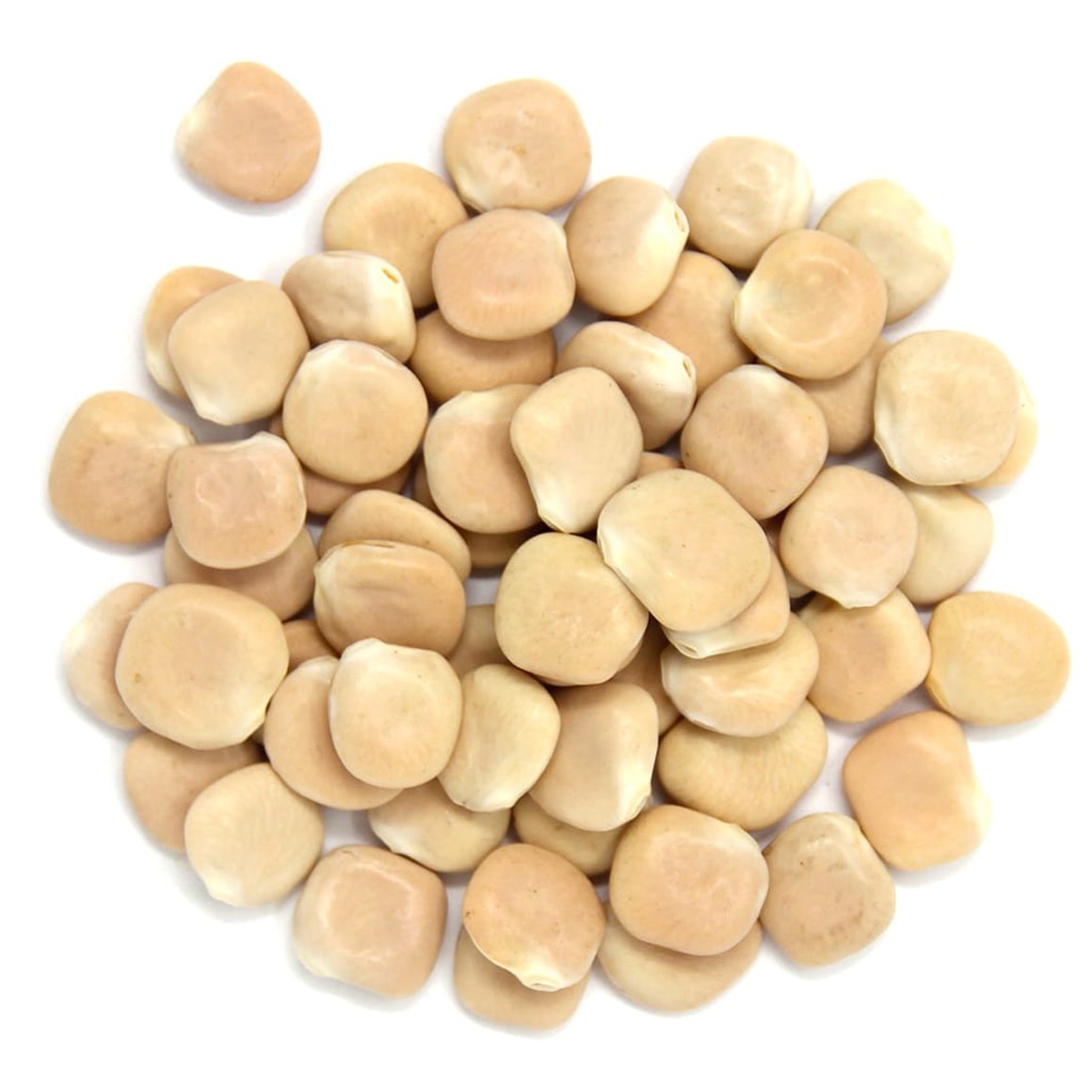 NUPAK LUPINI BEANS 2 LBS