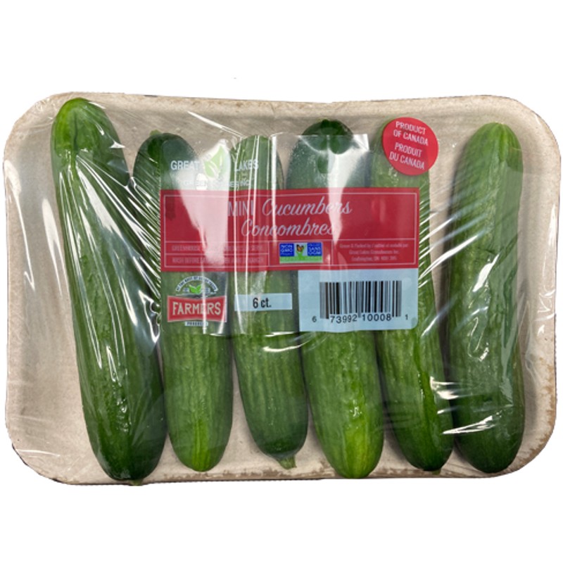 Cucumber 1 PACK