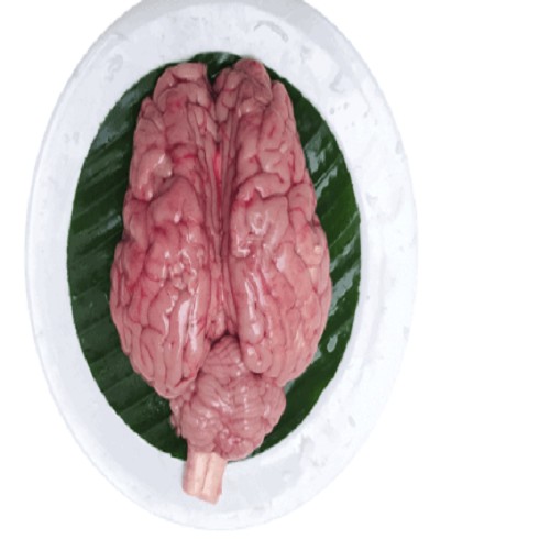 Beef Brain 1 LBS