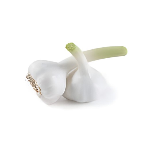 Fresh Garlic 5 PCS