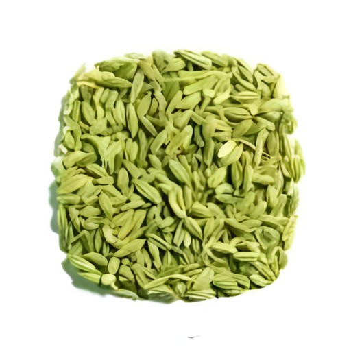 VEDIC ORG FENNEL 200 GM