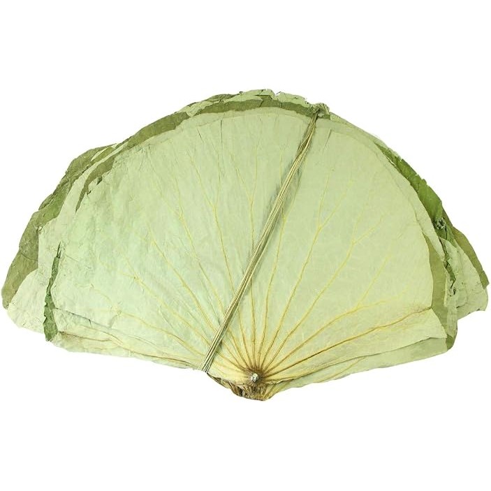 CHINES PRODUCT DRIED LOTUS LEAVES 1 Lbs
