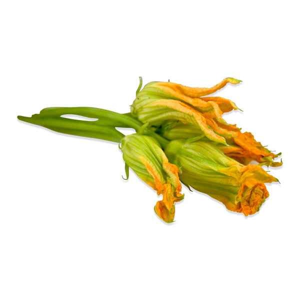 SQUASH BLOSSOMS 0.88 Lbs