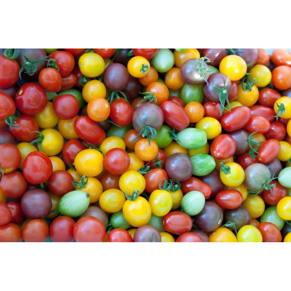 Cherry Tomato Mix 10 OZ