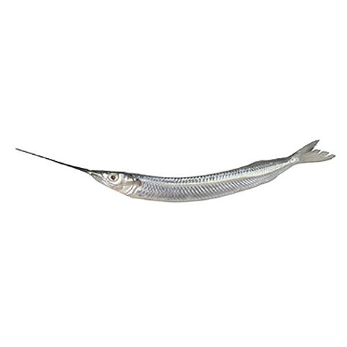 Kakila 1 LBS