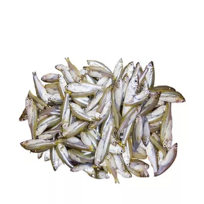 BD MOLA (D) 200 GM