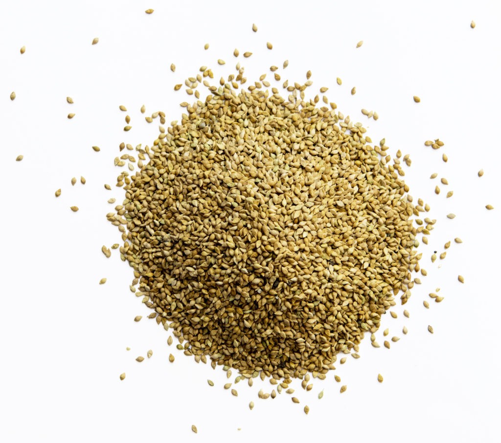 Hl Organic Brown Top Millet 2 Lbs