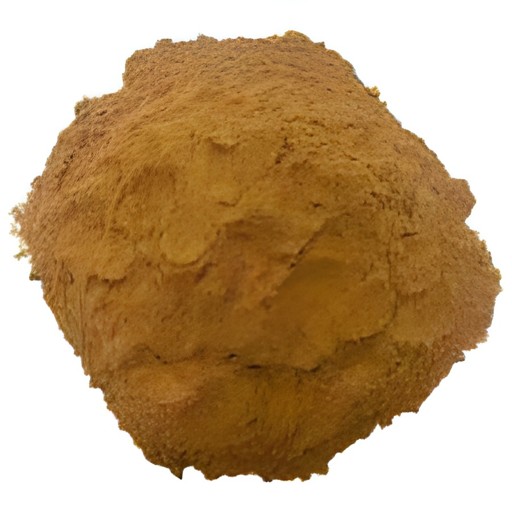 Spicy World Cinnamon Powder 100 GM