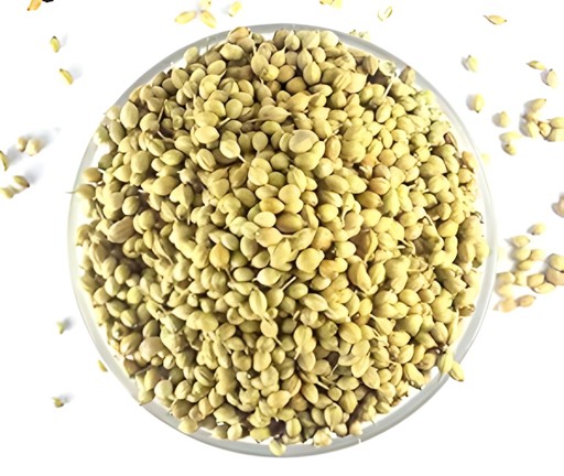 SPICY CORIANDER SEEDS 400 GM