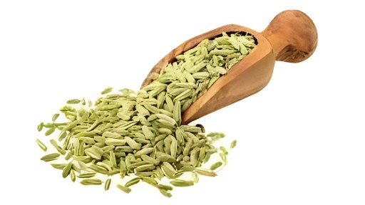 Spicy World Fennel Seeds 400 GM