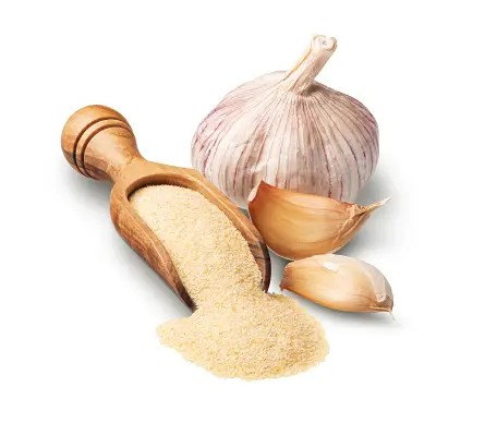 SW Garlic Powder 100 GM