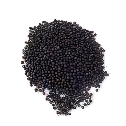 Spicy W Mustard Seed 14 OZ