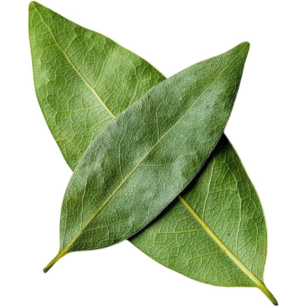 Spicy World Bay Leaves 100 GM