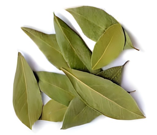 Spicy World Bay Leaves 50 GM