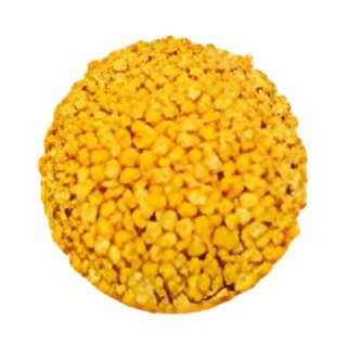 Jiva Organic Toor Whole Dal 2 LBS