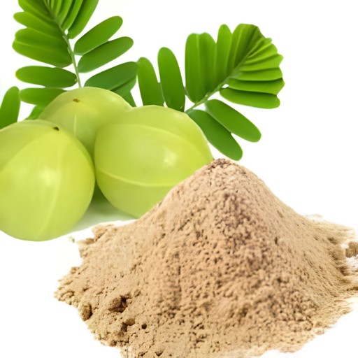 JIVA ORG AMLA PWD 100 GM