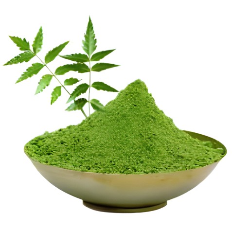 JIVA ORG NEEM PWD 100 GM