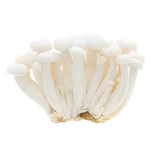 MUSHROOM WHITE BEECH 150 GM