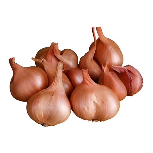 Shallot 1 EACH