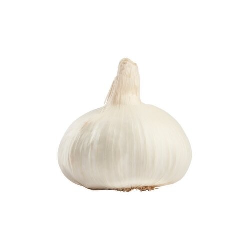 GARLIC FRESH 1 COUNT