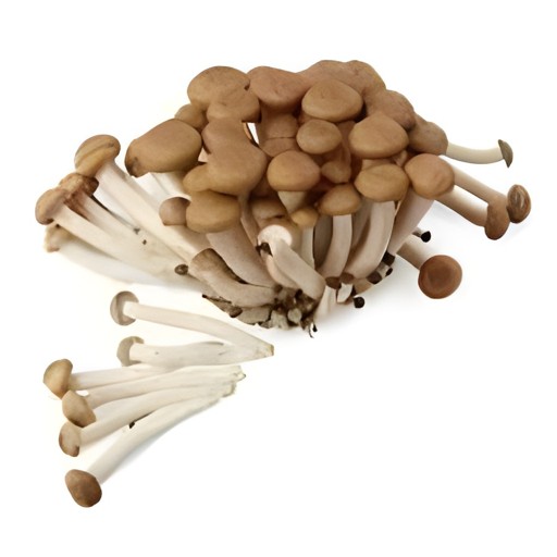 MUSHROOM CRAB FLAVOR 150 GM