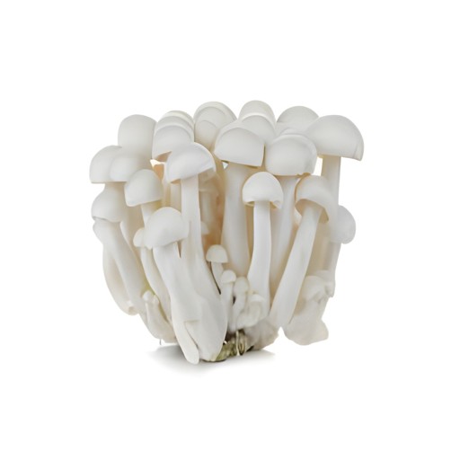 MUSHROOM SHIMEJI WHITE 150 GM