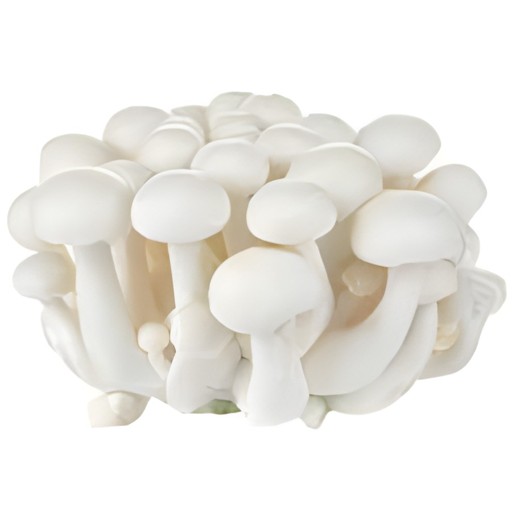 WHITE BEACH MUSHROOM 1 PACK