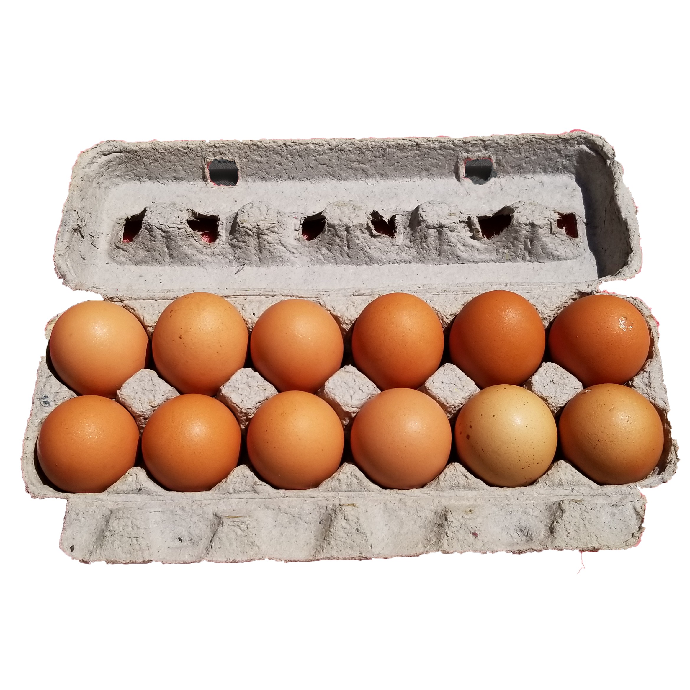 ALDERFER CAGE FREE LARGE BROWN EGGS 1 DOZEN