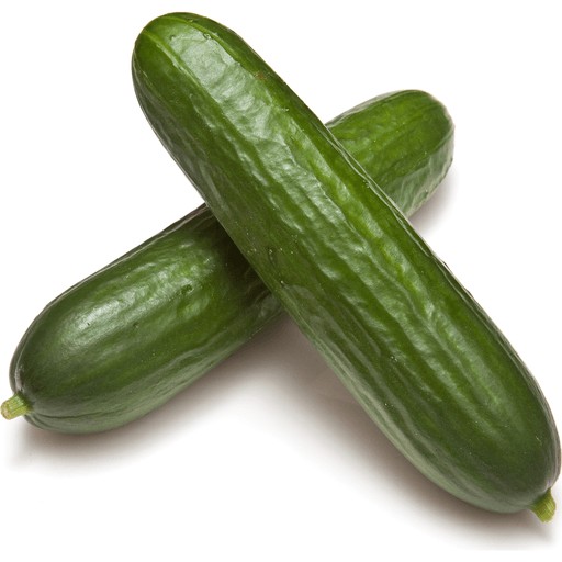 CUCUMBERS MINI MUCCI                     6 COUNT