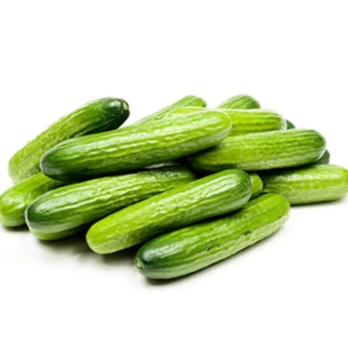MINI CUCUMBER 6 COUNT