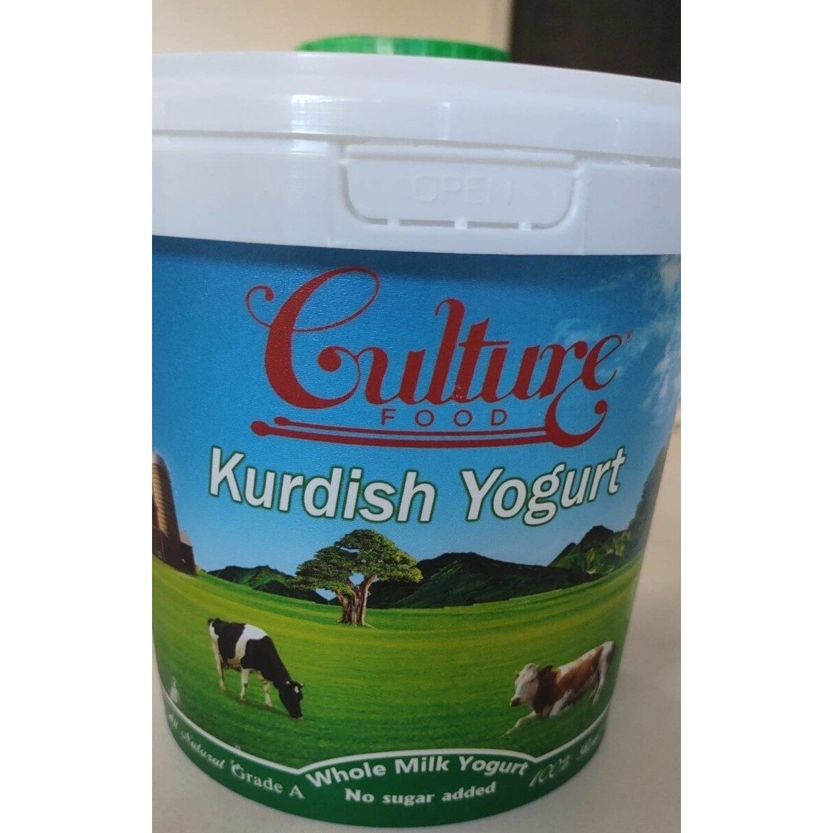 Kurdish Yogurt 100 GM