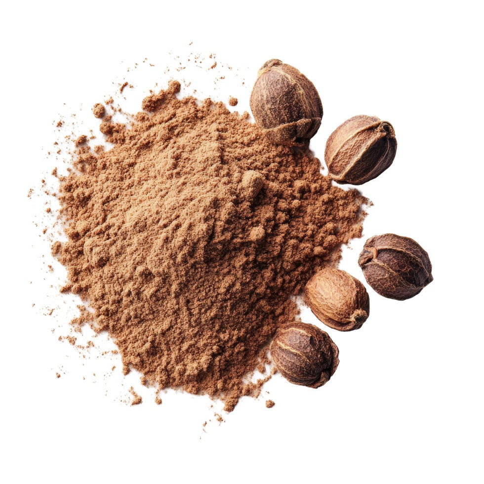 Dharti Nutmeg Powder 3.5 OZ