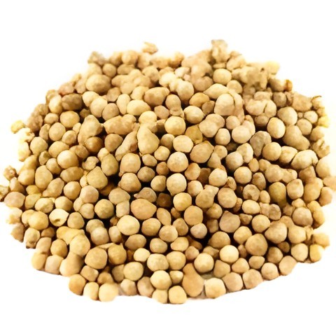 CORIANDER SEEDS 100 GM