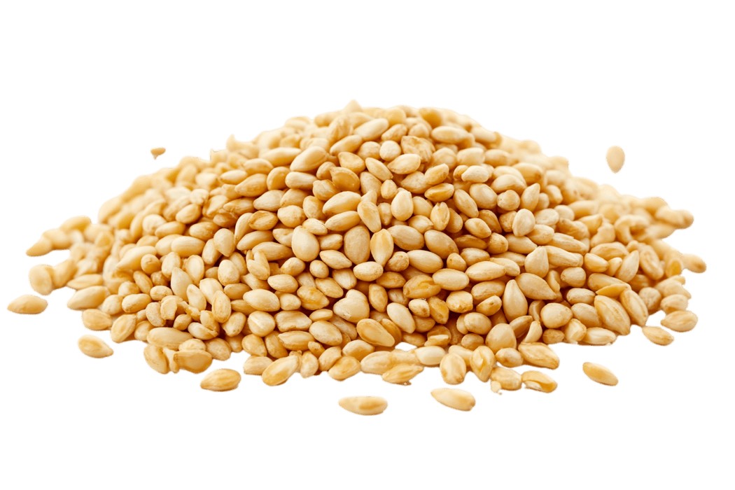 Dharti Sesame Brown 200Gm 7 OZ